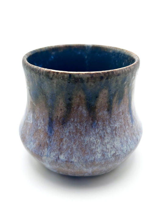 Galaxy Cup 2